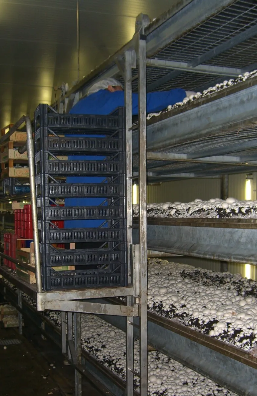 Mushroom picking lorry — image 1