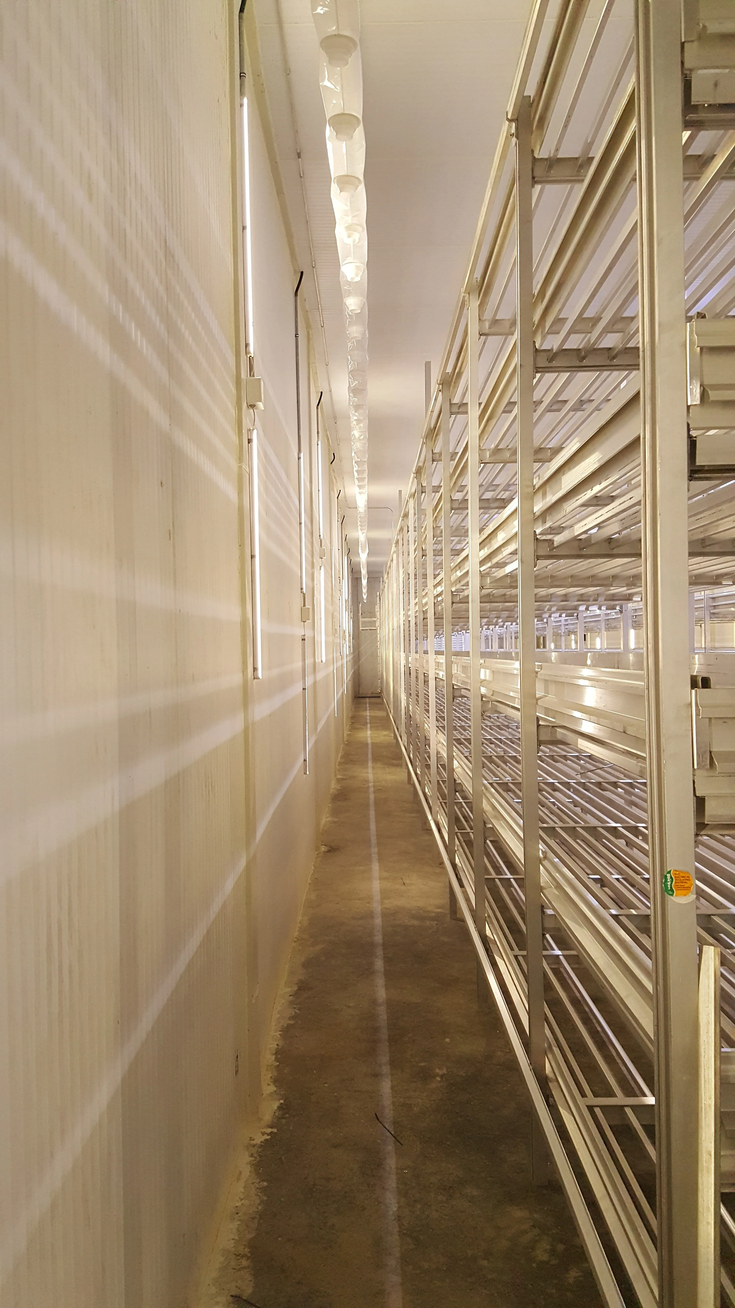 Enari growing racks — wide view across the hall