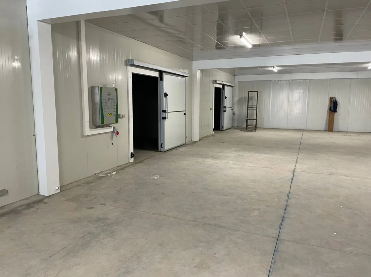 Enari growing racks — wide view across the hall